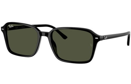 Gafas de Sol - Ray-Ban® - Ray-Ban® RB2231 RAIMOND - 901/31 BLACK // G-15 GREEN