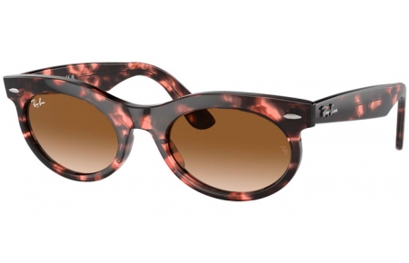 Gafas de Sol - Ray-Ban® - Ray-Ban® RB2242 WAYFARER OVAL - 133451  HAVANA PINK // BROWN GRADIENT ANTIREFLECTION