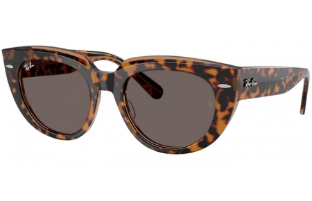 Gafas de Sol - Ray-Ban® - Ray-Ban® RB2286 DOREEN - 1292B1  HAVANA ON TRANSPARENT BROWN // DARK GREY