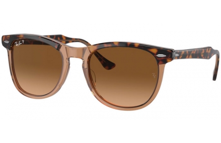 Gafas de Sol - Ray-Ban® - Ray-Ban® RB2398 EAGLEEYE - 1292M2  HAVANA ON TRANSPARENT BROWN // BROWN GRADIENT POLARIZED