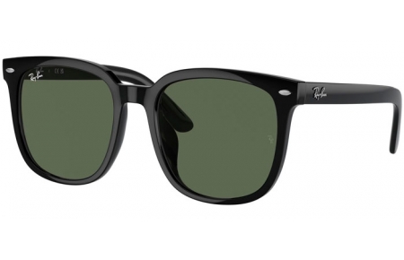 Gafas de Sol - Ray-Ban® - Ray-Ban® RB4401D - 601/71  BLACK // DARK GREEN