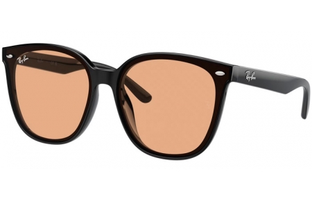 Gafas de Sol - Ray-Ban® - Ray-Ban® RB4423D - 601/93 BLACK // LGIHT BROWN