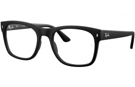 Monturas - Ray-Ban® - RX7228 - 2477 MATTE BLACK