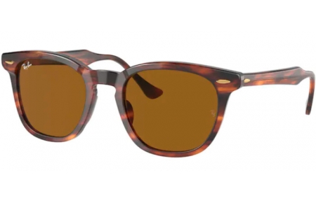 Gafas de Sol - Ray-Ban® - Ray-Ban® RB2298 HAWKEYE - 954/33 STRIPED HAVANA // BROWN