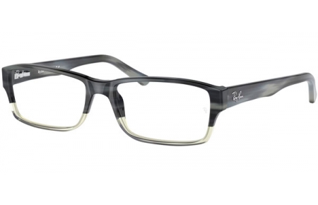 Monturas - Ray-Ban® - RX5169 - 5540 GREY HORN GRADIENT TRANSPARENT GREY