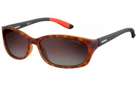 Lunettes de soleil - Carrera - CARRERA 8016/S - 6XV  (LA) HAVANA BLACK // BROWN GRADIENT POLARIZED