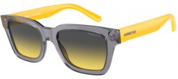 Gafas de Sol - Arnette - AN4334 COLD HEART 2.0 - 12432Q  TRANSPARENT GREY // DARK GREY GRADIENT YELLOW