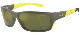 Gafas de Sol - Arnette - AN4336 FRAMBUESA - 28546R  LIMA MILITARY GREEN // DARK GREEN MULTILAYER PETROLEUM