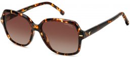 Gafas de Sol - Carrera - CARRERA 3028/S - WR9 (LA) HAVANA BROWN // BROWN GRADIENT POLARIZED