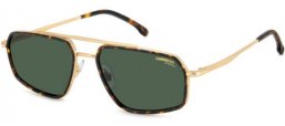 Gafas de Sol - Carrera - CARRERA 338/S - 0NR (QT) GOLD BROWN // GREEN