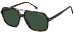 Lunettes de soleil - Carrera - CARRERA 350/S - 086 (QT) HAVANA // GREEN