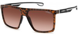 Gafas de Sol - Carrera - CARRERA 4019/S - 086 (HA) HAVANA // BROWN GRADIENT