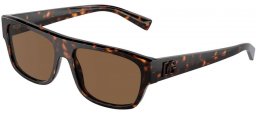 Sunglasses - Dolce & Gabbana - DG4455 - 502/73 HAVANA // DARK BROWN