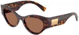 Gafas de Sol - Dolce & Gabbana - DG4480 - 502/73 HAVANA // DARK BROWN