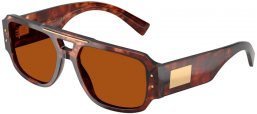 Gafas de Sol - Dolce & Gabbana - DG4482 - 322273  HAVANA DARK RED // DARK BROWN