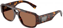 Sunglasses - Dolce & Gabbana - DG4482 - 502/73 HAVANA // DARK BROWN