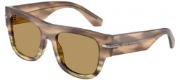 Gafas de Sol - Dolce & Gabbana - DG4484 - 3439/2 HAVANA GREEN // OLIVE GREEN