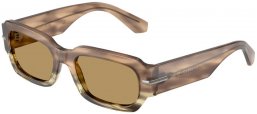 Sunglasses - Dolce & Gabbana - DG4485 - 3439/2 HAVANA GREEN // OLIVE GREEN