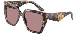 Gafas de Sol - Dolce & Gabbana - DG4438 - 34387N  HAVANA BROWN PEARLED // BROWN LIGHT PURPLE