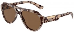 Gafas de Sol - Dolce & Gabbana - DG4466 - 343473  HAVANA BEIGE // DARK BROWN