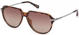 Sunglasses - Guess - GU00067 - 52H  DARK HAVANA // BROWN POLARIZED