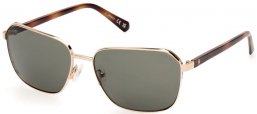 Gafas de Sol - Guess - GU00117 - 32N  SHINY PALE GOLD // GREEN