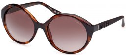 Gafas de Sol - Guess - GU00155 - 52F  DARK HAVANA // BROWN GRADIENT