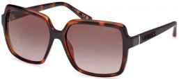 Gafas de Sol - Guess - GU00157 - 52F  DARK HAVANA // BROWN GRADIENT