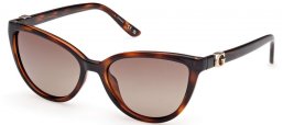 Sunglasses - Guess - GU00189 - 52H  DARK HAVANA // BROWN POLARIZED