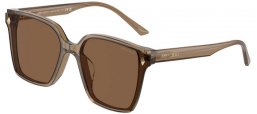 Gafas de Sol - Jimmy Choo - JC5016D - 505173  TRANSPARENT BROWN // DARK BROWN