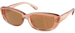 Gafas de Sol - Michael Kors - MK2210U ASHEVILLE - 3999/O TRANSPARENT BROWN // BROWN