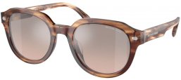 Gafas de Sol - Michael Kors - MK2216U EGER - 39776I  BROWN HORN // BROWN MIRROR BLACK