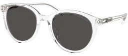 Gafas de Sol - Michael Kors - MK2227 BIG BEND - 301587  TRANSPARENT // DARK GREY