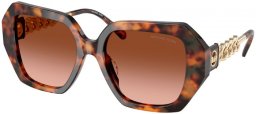 Gafas de Sol - Michael Kors - MK2232U SOUTH BEACH - 39043B  JET SET TURTLE // BROWN GRADIENT