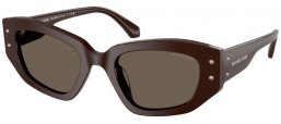 Gafas de Sol - Michael Kors - MK2234B LE PRAZ - 4007/3 CHOCOLATE // CHOCOLATE