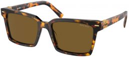 Lunettes de soleil - Miu Miu - SMU 13ZS - VAU01T  HAVANA HONEY // DARK BROWN