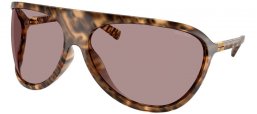 Gafas de Sol - Miu Miu - SMU A01S - 11Z06I  HAVANA // BROWN LIGHT PURPLE