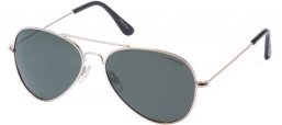 Gafas de Sol - Polaroid - 04213 - 00U (H8) GOLD // GREEN POLARIZED