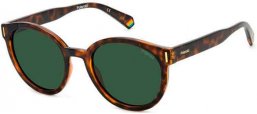 Gafas de Sol - Polaroid - PLD 6185/S - 086 (UC) DARK HAVANA // GREEN POLARIZED