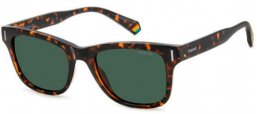 Gafas de Sol - Polaroid - PLD 6206/S - 086 (UC) DARK HAVANA // GREEN POLARIZED