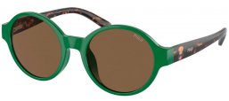 Gafas Junior - POLO Ralph Lauren Junior - PP9508U - 619273  SHINY GREEN // BROWN