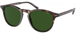 Gafas de Sol - POLO Ralph Lauren - PH4181 - 500371  SHINY DARK HAVANA // GREEN BOTTLE