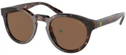 Gafas de Sol - POLO Ralph Lauren - PH4184 - 500373 SHINY DARK HAVANA // BROWN