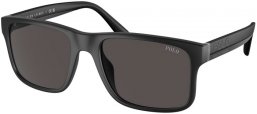 Gafas de Sol - POLO Ralph Lauren - PH4195U - 500187  MATTE BLACK // DARK GREY