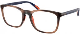 Monturas - POLO Ralph Lauren - PH2281U - 6070  SHINY DARK HAVANA