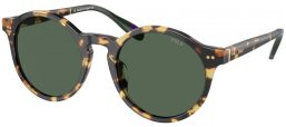 Gafas de Sol - POLO Ralph Lauren - PH4204U - 500471  SHINY TORTOISE BROWN // DARK GREEN