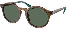 Gafas de Sol - POLO Ralph Lauren - PH4204U - 501771  HAVANA AND BRIGHT JERRY // GREEN BOTTLE