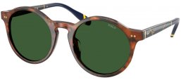 Gafas de Sol - POLO Ralph Lauren - PH4204U - 562571  SHINY BROWN TURTLE // BOTTLE GREEN