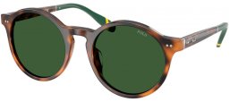 Gafas de Sol - POLO Ralph Lauren - PH4204U - 608971  SHINY HAVANA RED // BOTTLE GREEN