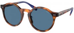 Gafas de Sol - POLO Ralph Lauren - PH4204U - 608980  SHINY HAVANA RED // DARK BLUE